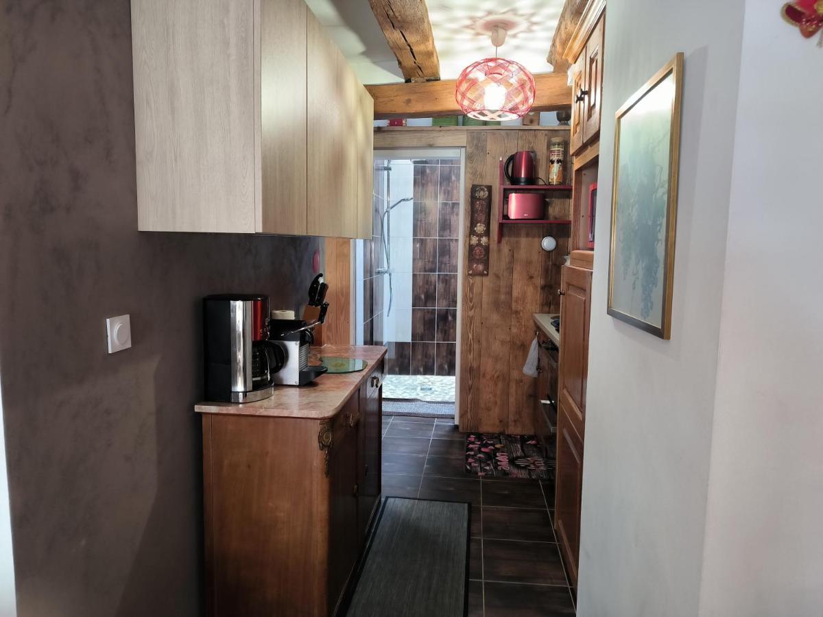 Appartements - 1 Mn Du Centre Ribeauvillé Zewnętrze zdjęcie
