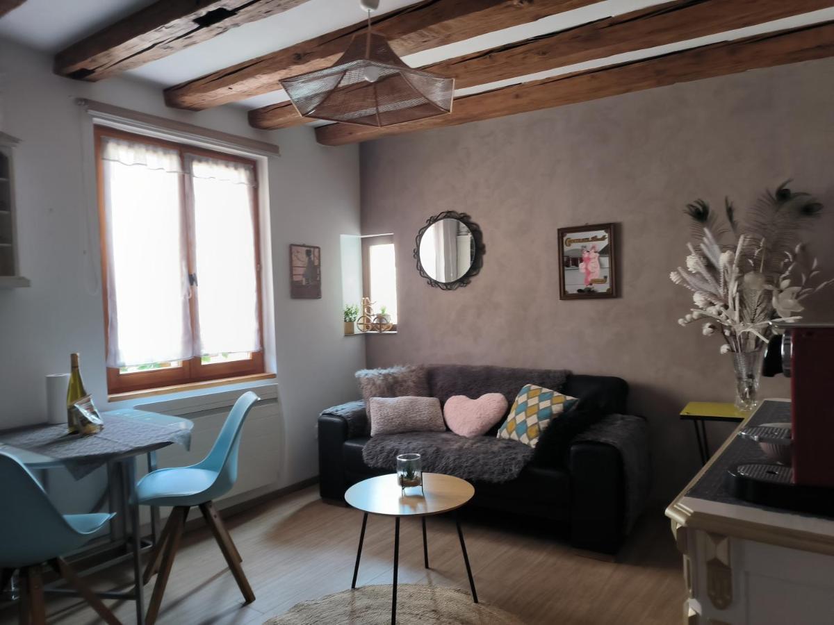 Appartements - 1 Mn Du Centre Ribeauvillé Zewnętrze zdjęcie